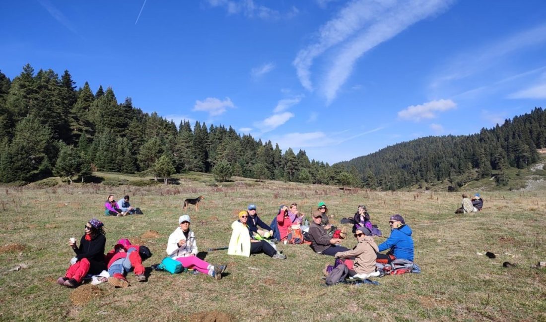İstanbul’dan Bilecik’in Bozüyük ilçesine bağlı Camiliyayla köyüne gelen 16 kişilik