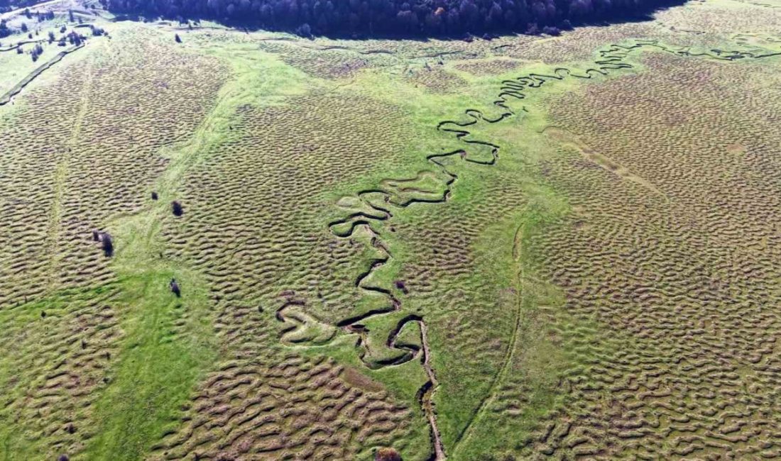 Sakarya’nın Taraklı ilçesinde bulunan Karagöl Yaylası, havadan çekilen görüntülerle doğal