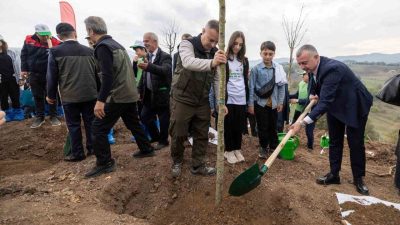 Kocaeli’nin Karamürsel ilçesinde ağustos ayında yanan ormanlık alana, 11 Kasım