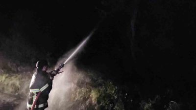 Kastamonu’nun Cide ilçesinde ormanlık alanda çıkan yangın itfaiye ekipleri tarafından