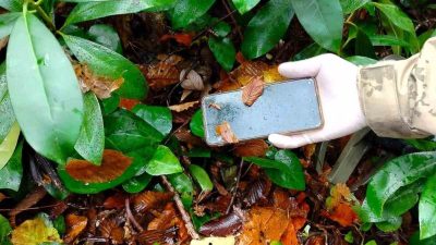 Kastamonu’nun Bozkurt ilçesinde kayıp olarak aranan anne ile oğlunun cansız