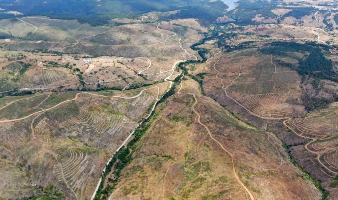 Kastamonu’nun Taşköprü ilçesinde 2020 yılında çıkan yangında küle dönen bin