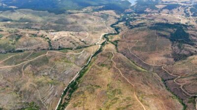 Kastamonu’nun Taşköprü ilçesinde 2020 yılında çıkan yangında küle dönen bin