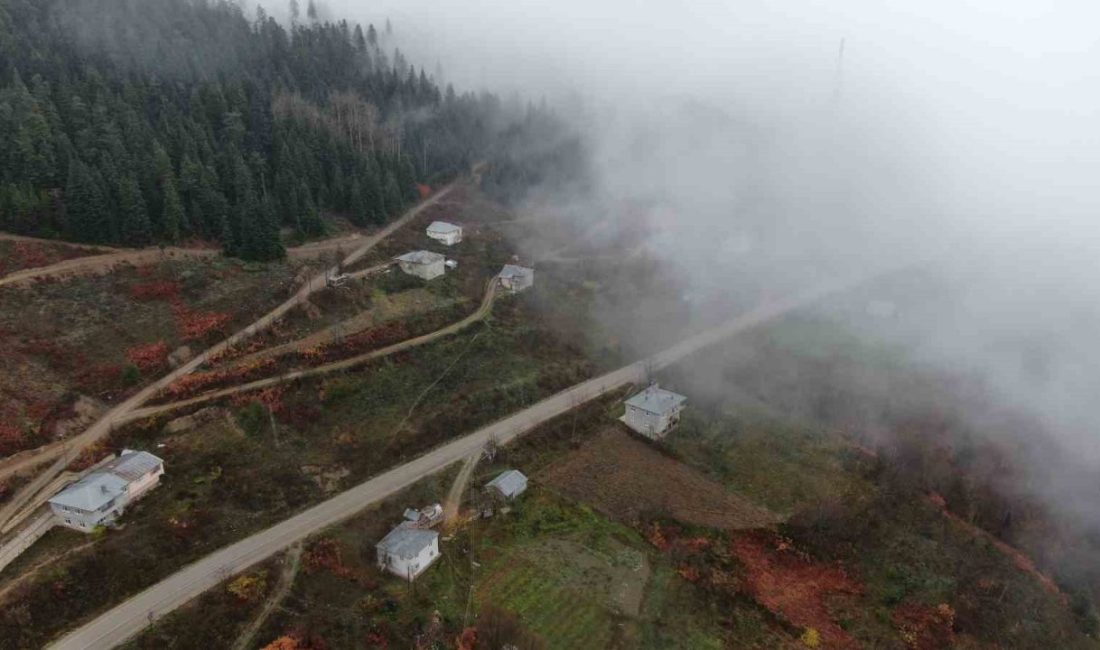 Kastamonu’nun il merkezi ile sahil ilçelerini birbirine bağlayan Yaralıgöz geçidinde