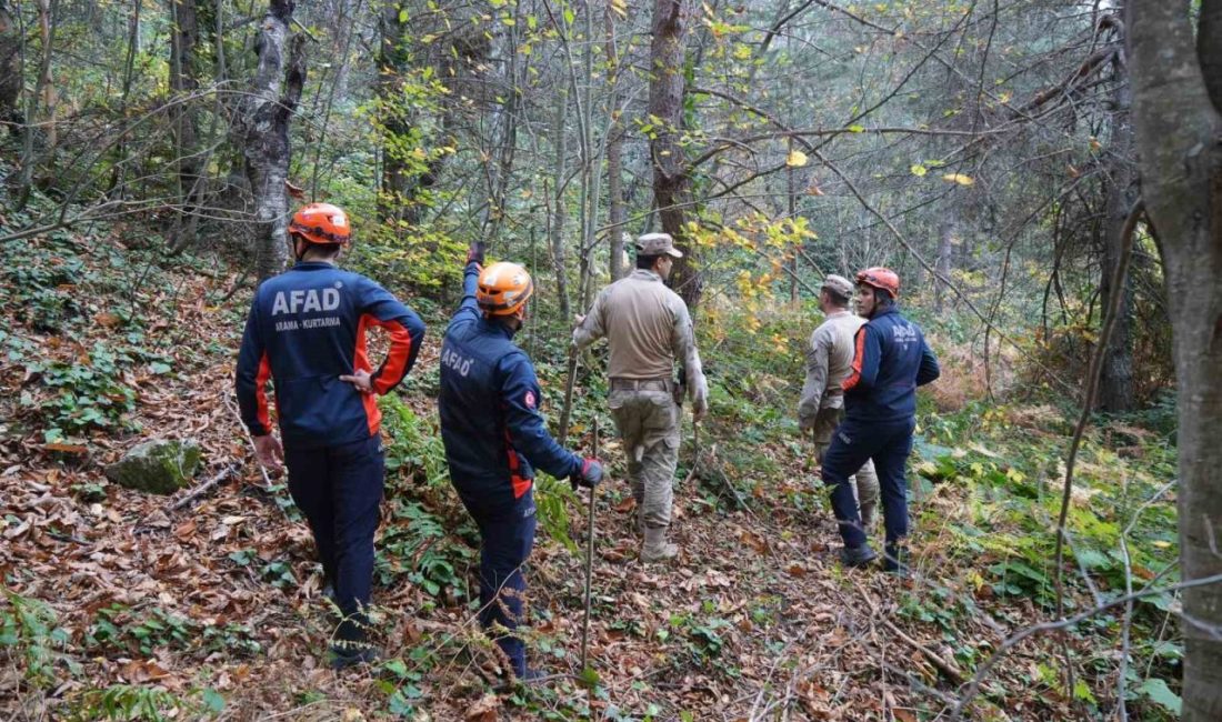 Diyarbakır’daki Narin Güran cinayeti soruşturmasında kullanılan “daraltılmış baz çalışması”, Kastamonu’nun
