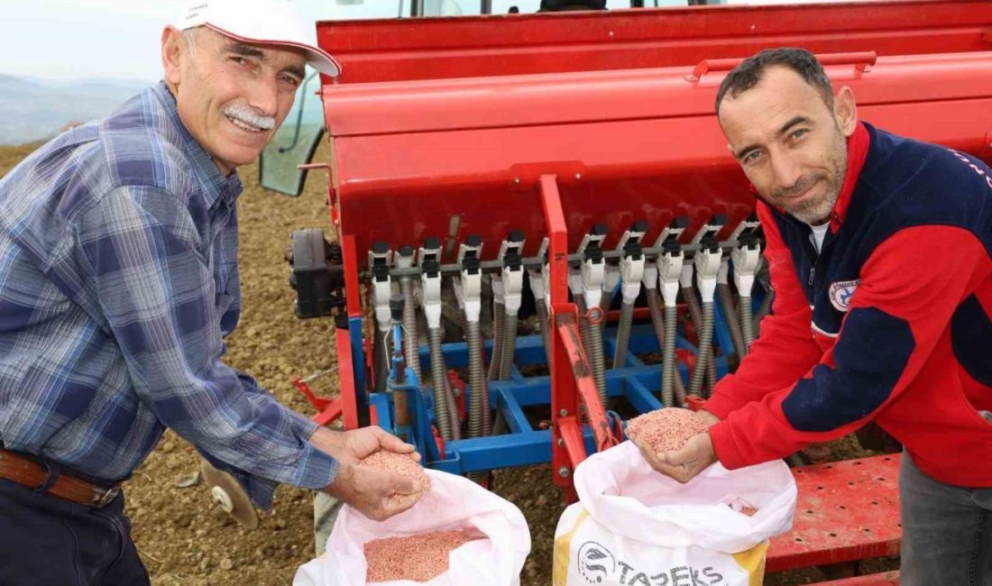 Kocaeli’de çiftçilere yüzde 75 hibeli tohum desteği Kocaeli Büyükşehir Belediyesi tarafından sonbahar döneminde yüzde 75 hibe ile