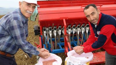 Kocaeli Büyükşehir Belediyesi tarafından sonbahar döneminde yüzde 75 hibe ile