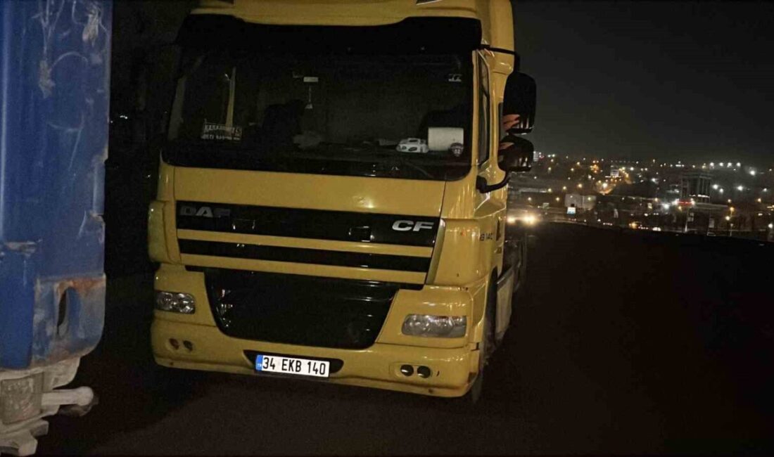 Kocaeli’nin Dilovası ilçesinde, aracını park ederek yolun karsına geçen tır