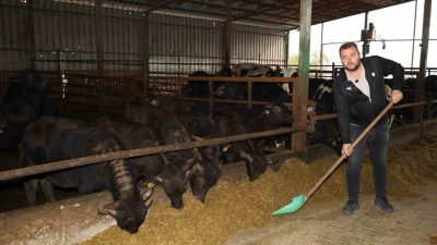 Kocaeli Büyükşehir Belediyesi’nin, Tarım ve Orman Bakanlığı’nın “Halk Elinde Anadolu