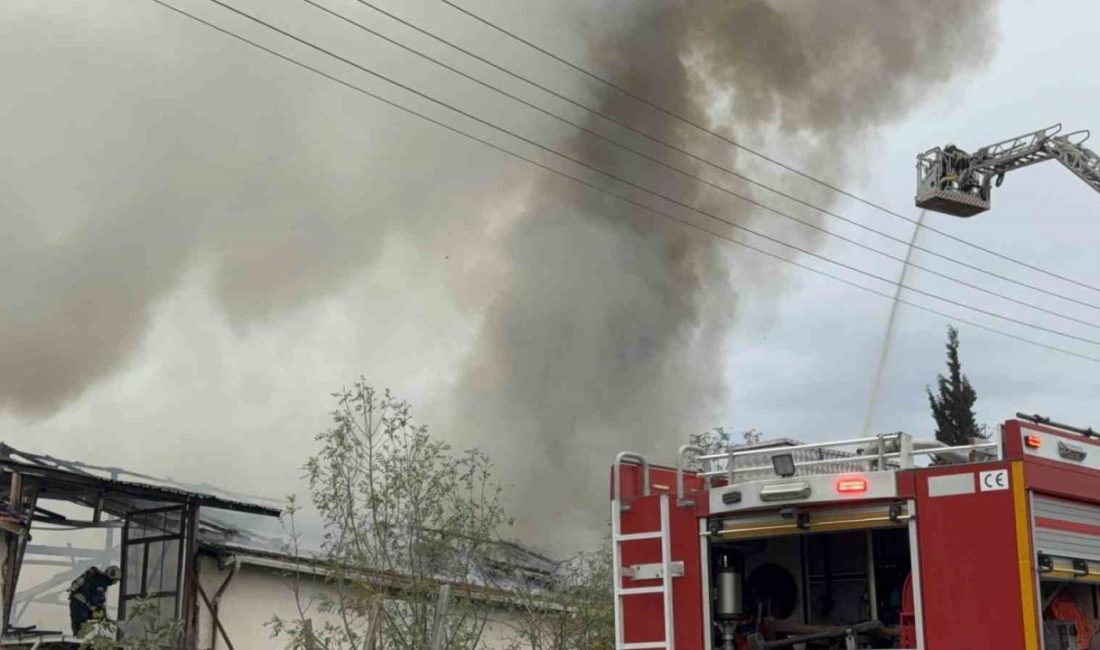 Kocaeli’nin Çayırova ilçesinde bulunan mutfak ve banyo tezgahları üretim tesisinde