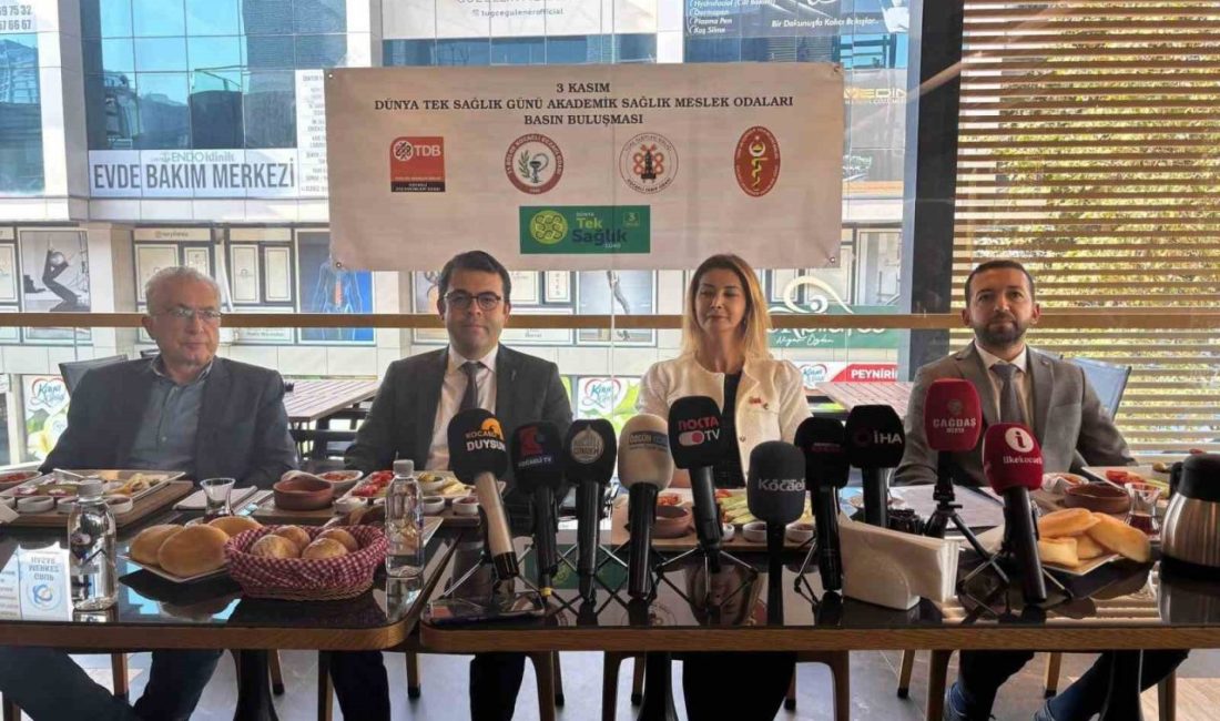 Kocaeli’deki sağlık odalarından “Tek Dünya Sağlık” günü mesajı Kocaeli’de, 3 Kasım Dünya Tek Sağlık Günü dolayısıyla sağlık meslek