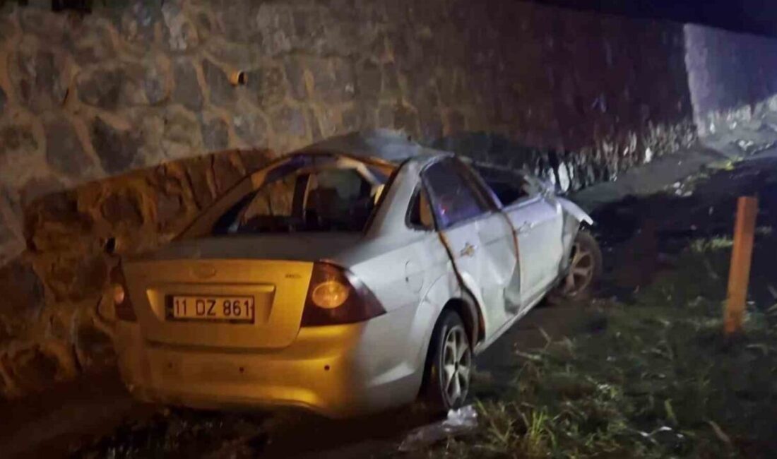 Sakarya’nın Adapazarı ilçesinde kontrolden çıkan otomobilin istinat duvarına çarptığı kazada