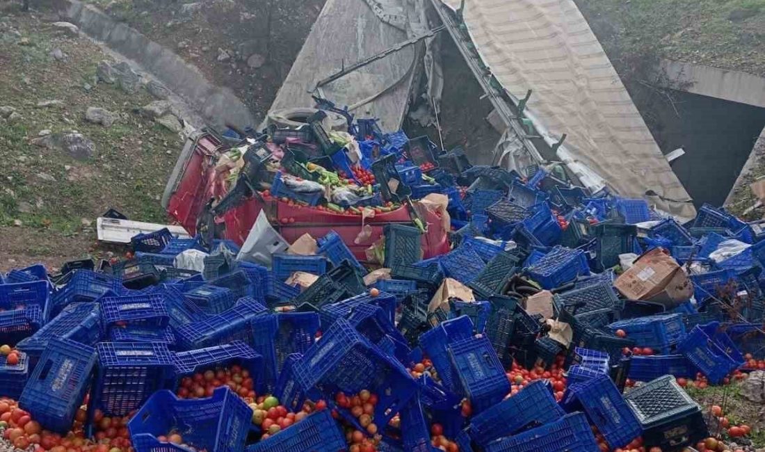 Kontrolden çıkan sebze yüklü tır devrildi: 1 yaralı Bilecik’te kontrolden çıkan sebze yüklü tırın şarampole devrilmesi sonucu meydana