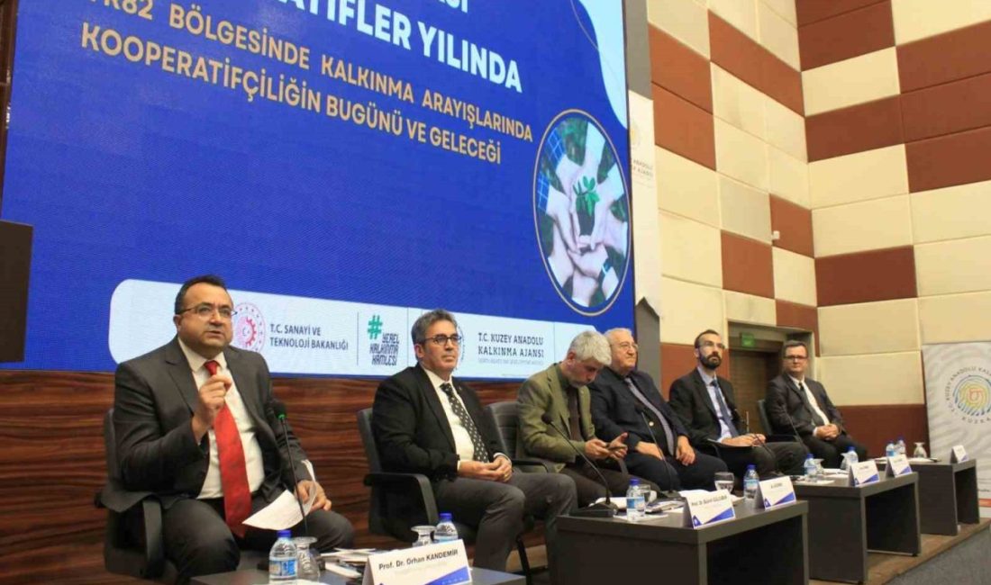 TR82 Bölgesi’nde 2025 Uluslararası Kooperatifler Yılı kapsamında Kalkınma Arayışlarında Kooperatifçiliğin