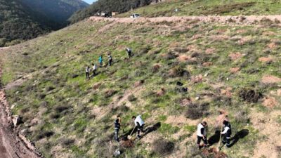 Körfez Belen Mahallesi’nde 180 bin metrekarelik alanda başlatılan ağaçlandırma çalışmasıyla