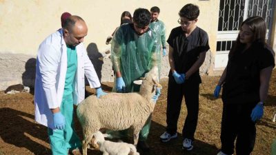 Kastamonu Üniversitesi tarafından kurulan ünitede 4 yıldır sürdürülen senkronizasyon çalışmaları