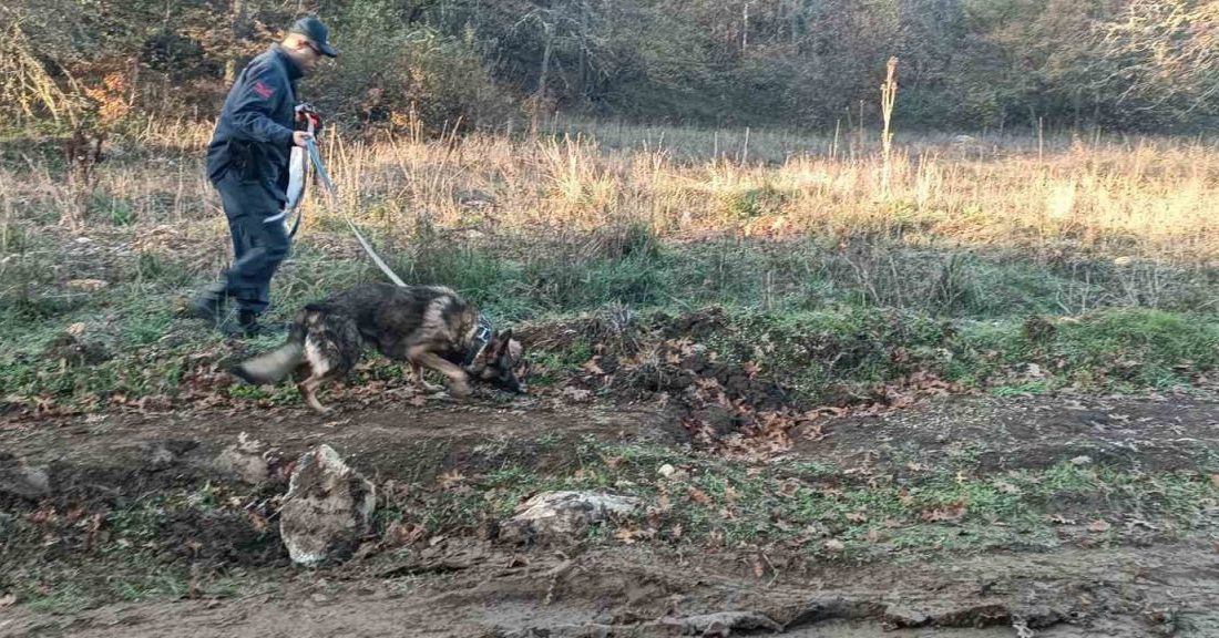 Mantar toplamak için gittiği ormanlık alanda kaybolan adamı 96 kişilik ekip arıyor Bilecik’e dün öğleden sonra mantar toplamak için ormanlık alana giren