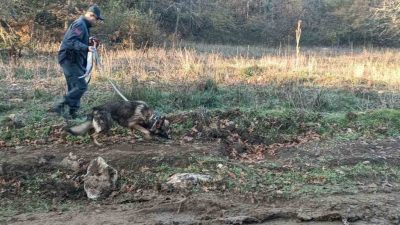 Bilecik’e dün öğleden sonra mantar toplamak için ormanlık alana giren