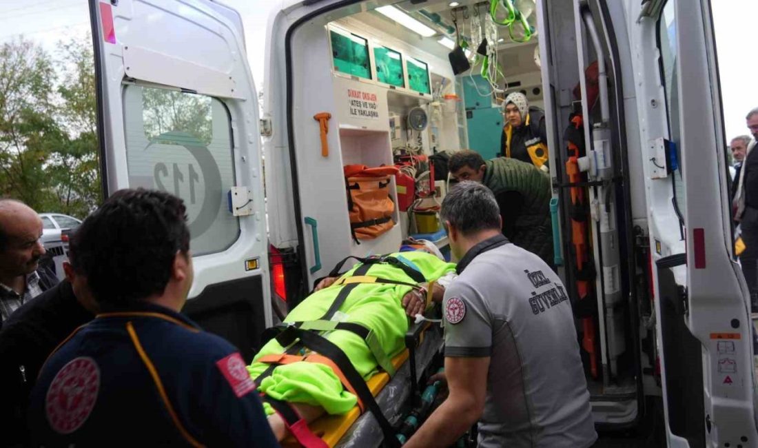 Kastamonu’nun Abana ilçesinde ormanlık alanda mantar topladığı sırada ayının saldırısına