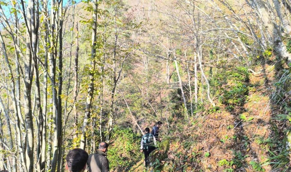 Kastamonu’nun Bozkurt ilçesinde 9 gündür aranan Huriye Helvacı’nın cansız bedeni,