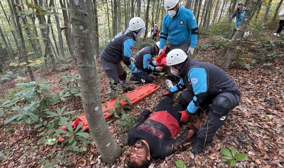 Orman yangını ve yaralılara hızlı müdahale Düzce’de senaryo gereği çıkan orman yangınına müdahale edip yaralananlara yönelik