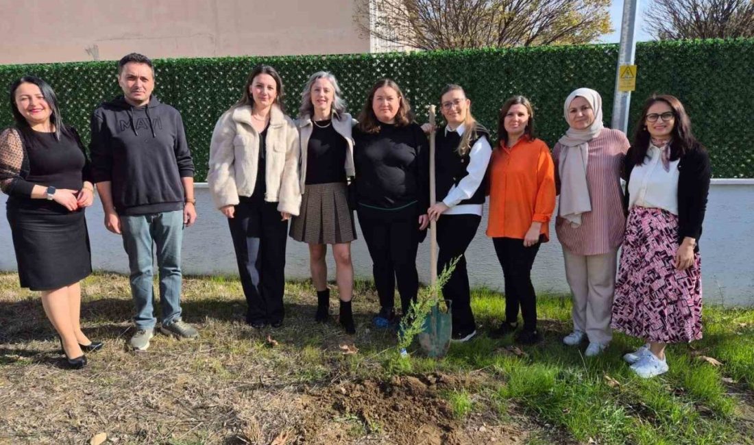 Bilecik’in Osmaneli ve Gölpazarı ilçelerinde geçtiğimiz Temmuz ayında yaşanan orman