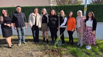 Bilecik’in Osmaneli ve Gölpazarı ilçelerinde geçtiğimiz Temmuz ayında yaşanan orman