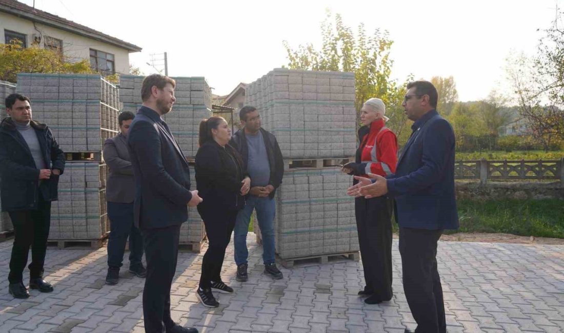 Pelitözü Mahallesi’nde devam eden çalışmaları inceleyerek yetkililerden bilgi alan Bilecik