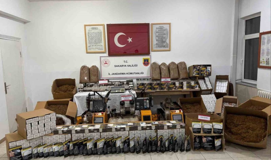 Sakarya’nın Geyve ilçesinde 151 bin 200 adet boş, 16 bin