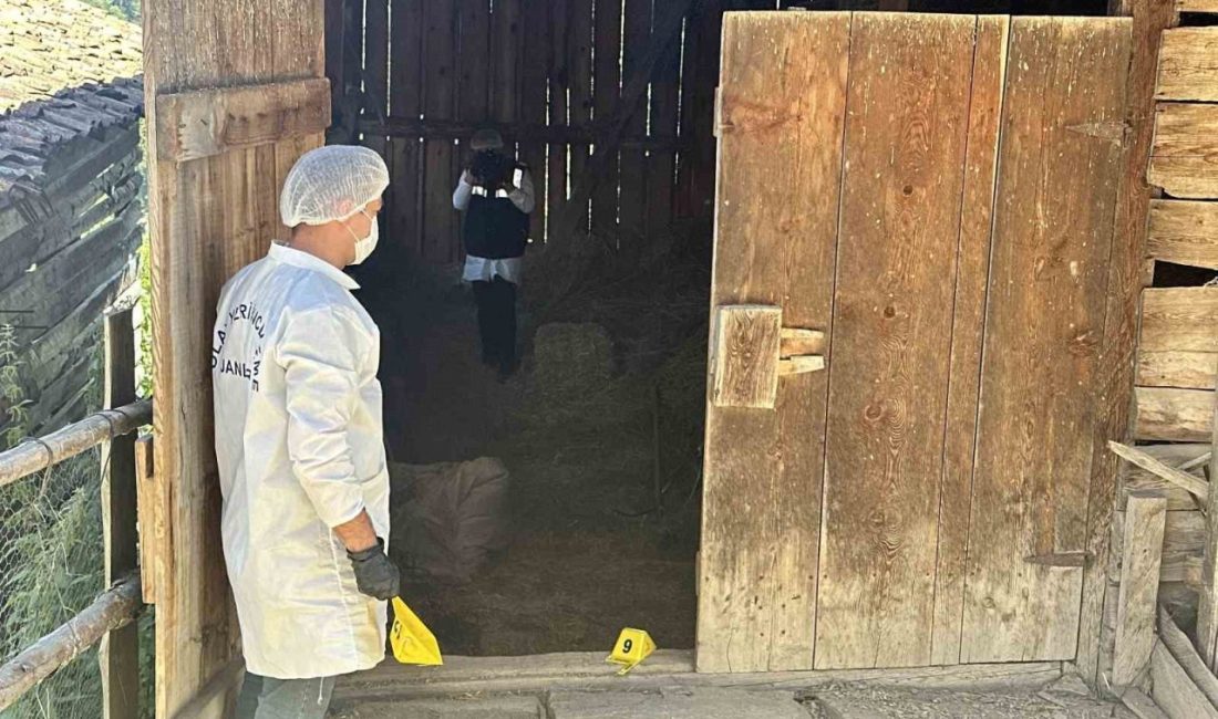 Samanlıkta işlenen cinayetle ilgili yargılama devam etti Kastamonu’da samanlıkta balta ile öldürüldükten sonra çuvala koyup dereye atılan