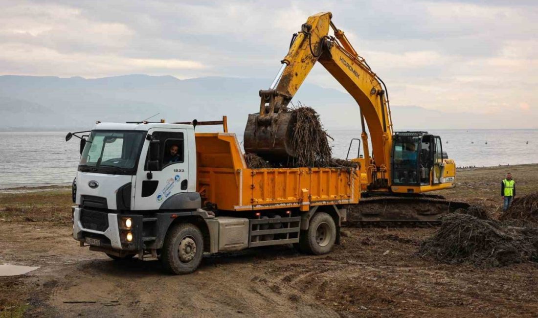 Sapanca Gölü kıyılarında ekosistemi koruyan temizlik SASKİ, Sapanca Gölü’nün çekilen kıyı şeritlerinde başlattığı temizlik çalışmalarına devam