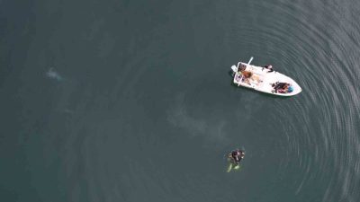 Sakarya ile Kocaeli’nin içme suyu kaynağı olan Sapanca Gölü’ndeki endişe