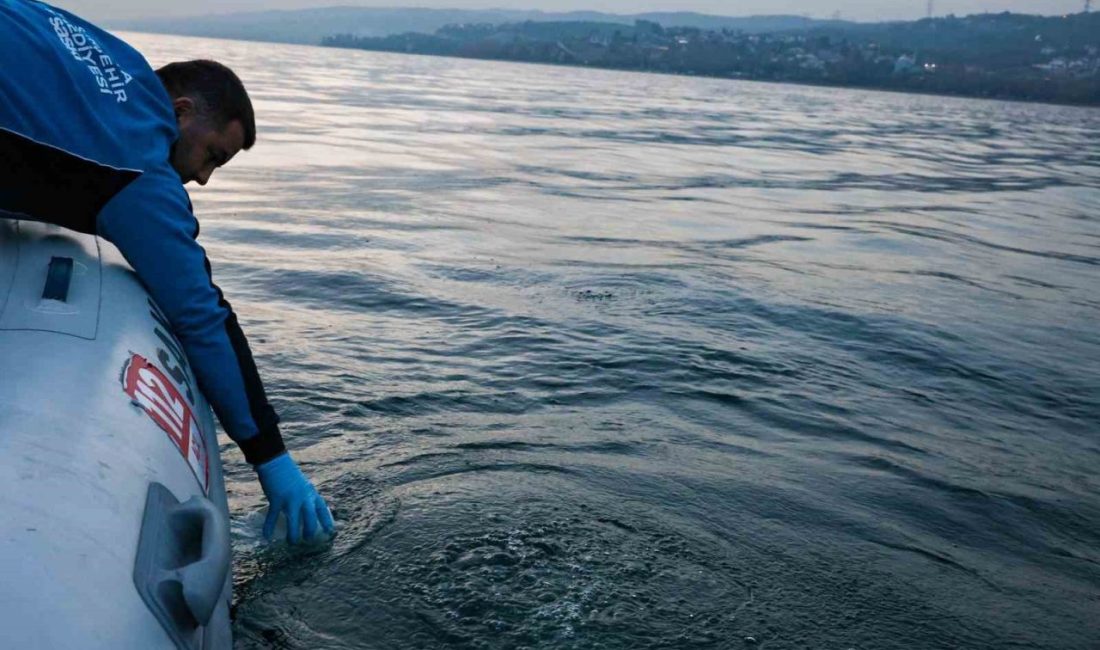 Sakarya’nın içme suyu kaynağı Sapanca Gölü’nde yüzeyde görülen kabarma ve
