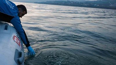 Sakarya’nın içme suyu kaynağı Sapanca Gölü’nde yüzeyde görülen kabarma ve
