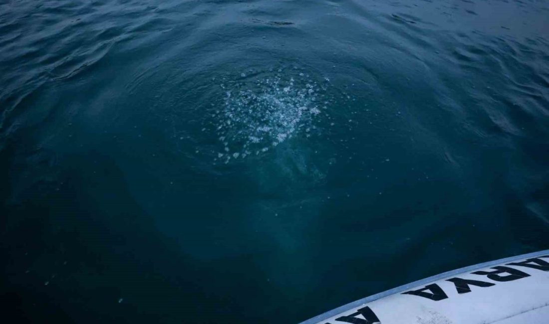 Sakarya ile Kocaeli’nin içme suyu kaynağı olan Sapanca Gölü’nde oluşan