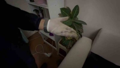 Sakarya’nın Serdivan ilçesinde jandarma ekiplerince yapılan uyuşturucu operasyonunda gözaltına alınan