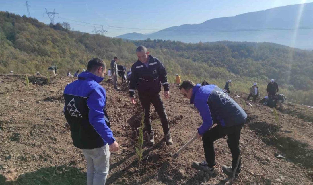 Sakarya Elektrik Dağıtım A.Ş. (SEDAŞ), Milli Ağaçlandırma Günü kapsamında Kocaeli,