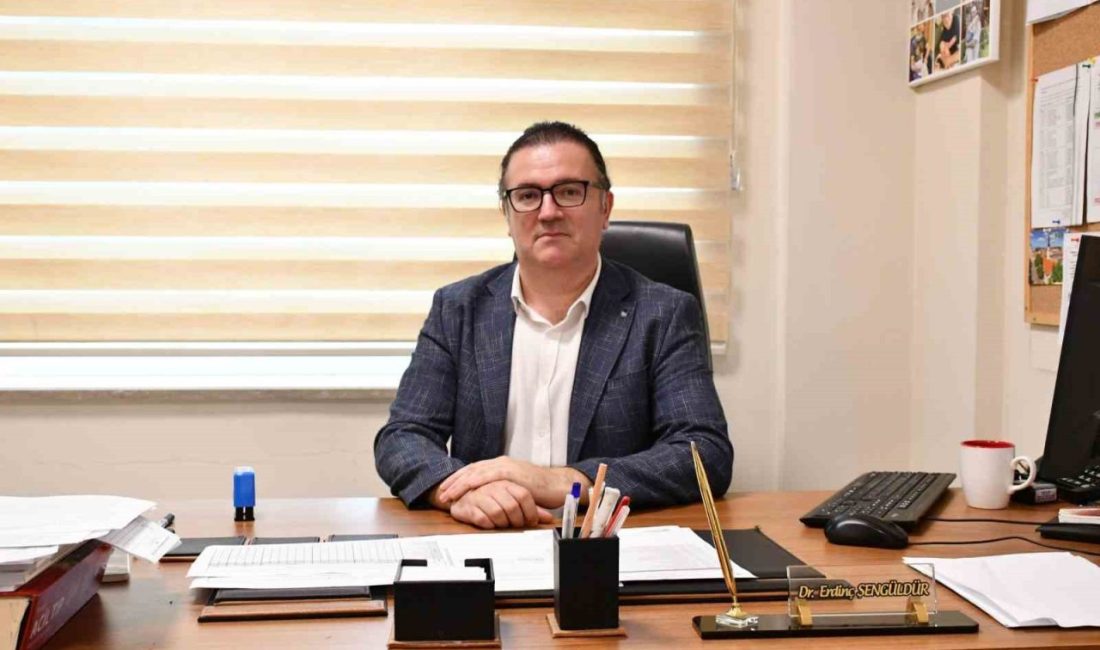 Dr. Erdinç Şengüldür, karbonmonoksit zehirlenmesiyle ilgili “Ortama yayıldığında duman çıkmaz,