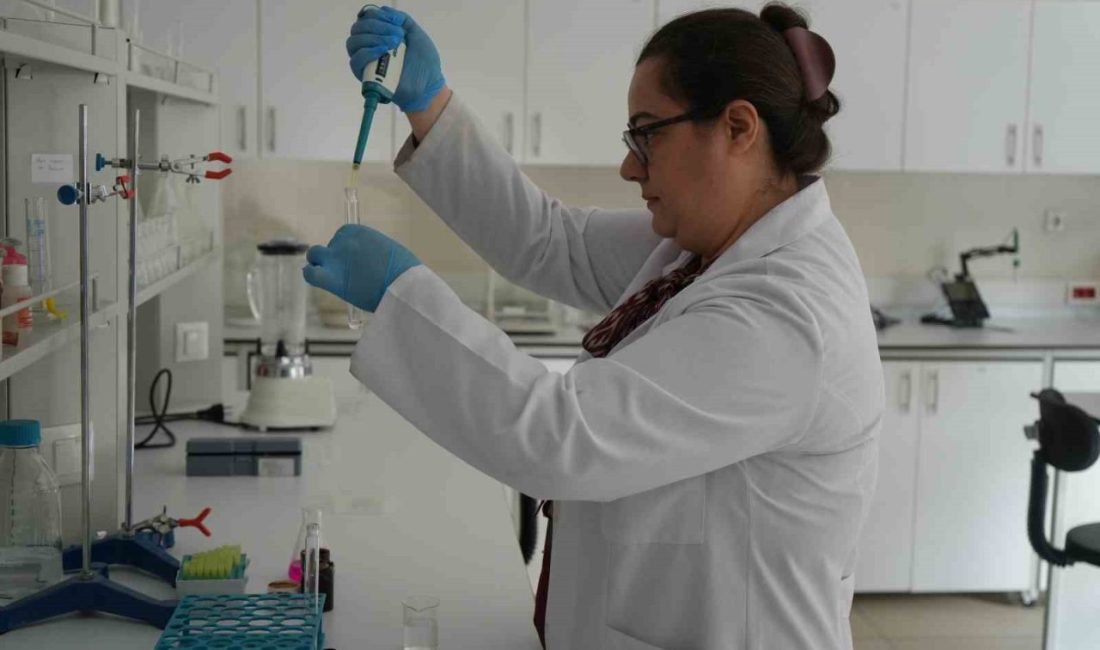 Son haftalarda ülke genelinde zehirlenmelerle ilgili vatandaşlara uyarılarda bulunan Kastamonu