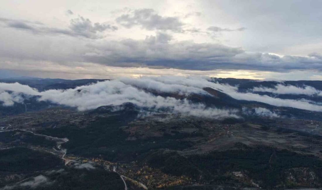 Sis ve doğanın buluşması mest etti Kastamonu yaylalarında sis ve sonbaharın renklerine bürünen ormanların buluşması ortaya