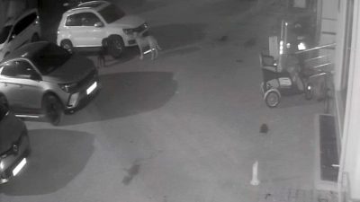 Kastamonu’nun Cide ilçesinde sokak köpekleri park halindeki aracın plastik parçalarını