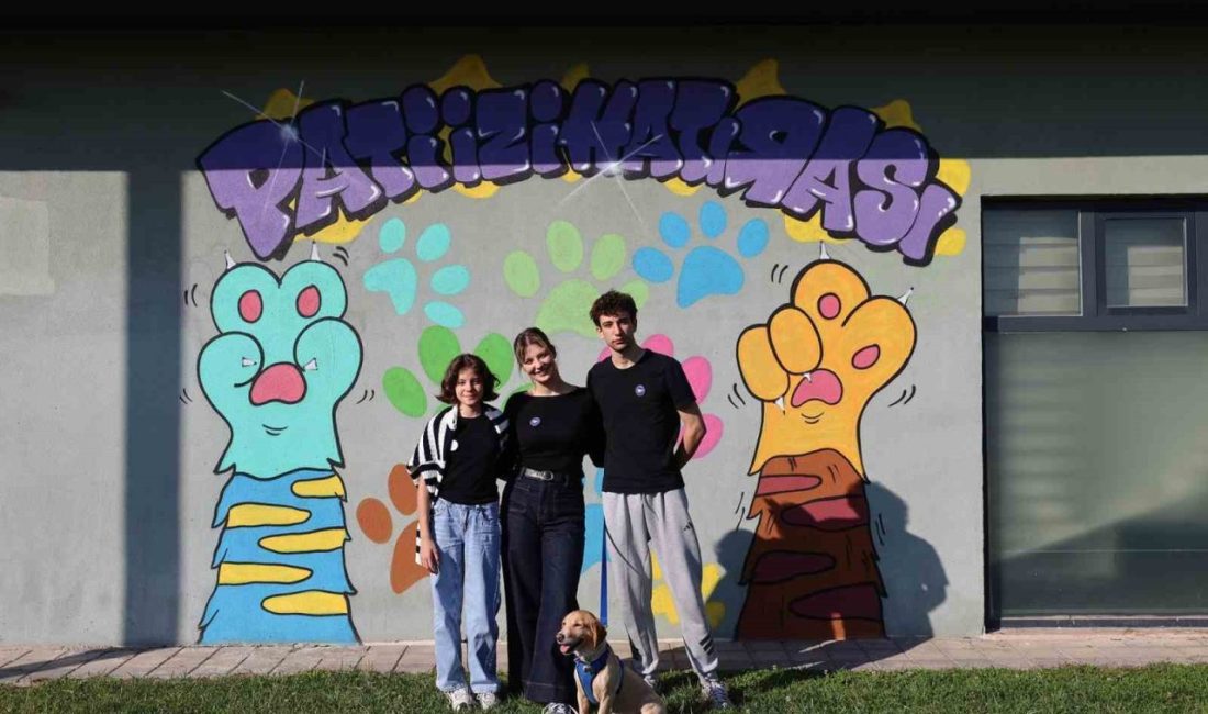 Sokaktan sıcacık yuvaya: ‘Pati İzi’nde 500 can dost yeni hayatına kavuştu Sakarya Büyükşehir Belediyesi’nin hayvan sahiplendirme kampanyası olan Pati İzi projesi,