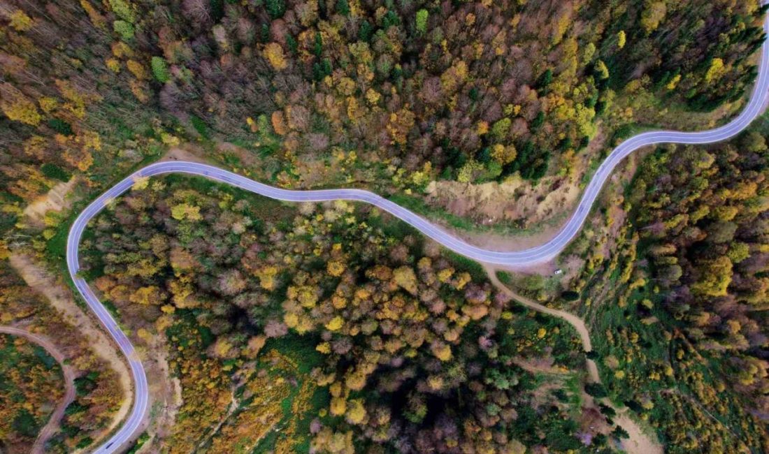 Sakarya’nın Hendek ile Kocaali ilçeleri arasında yer alan 900 rakımlı