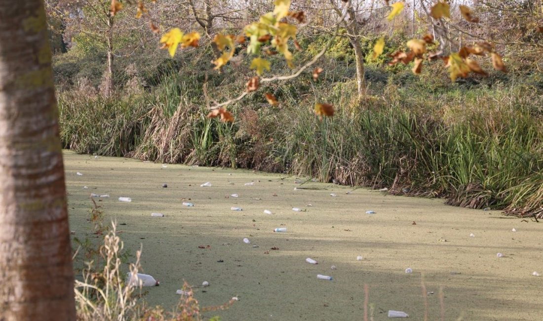 Sakarya’nın Karasu ilçe merkezinden geçen ve Sakarya Nehri’ne bağlanan 9