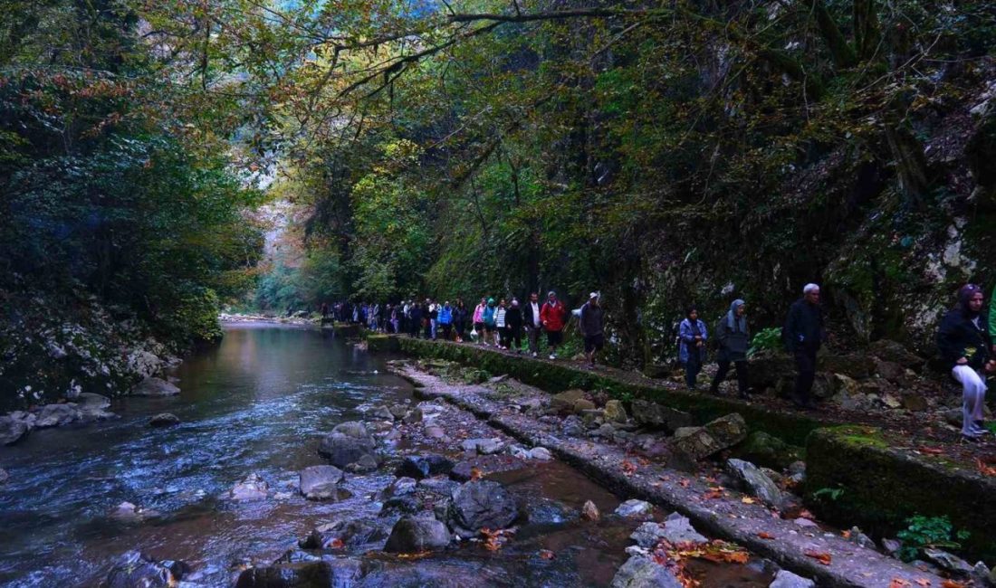 Tabiat harikaları arasında unutulmaz bir sonbahar yürüyüşü Sakarya Büyükşehir Belediyesi tarafından düzenlenen Sonbahar Doğa Yürüyüşleri çerçevesinde kuzey