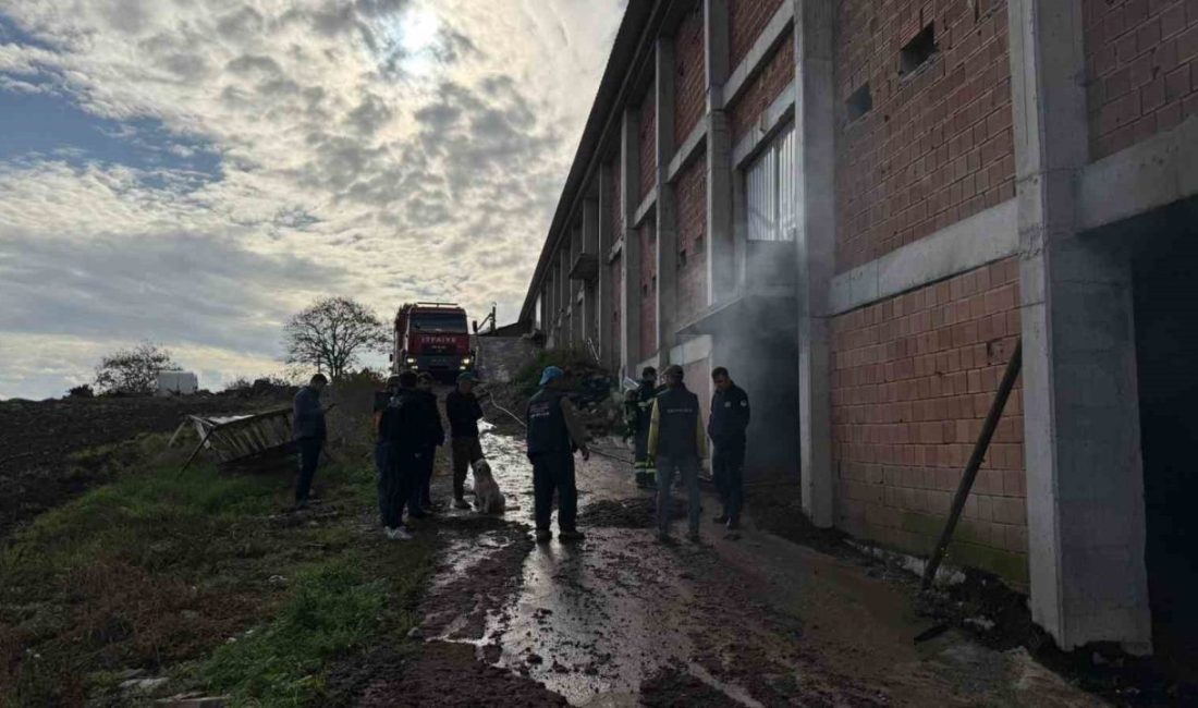 Sakarya’nın Kaynarca ilçesinde bulunan tavuk çiftliğinin depo kısmında çıkan ve