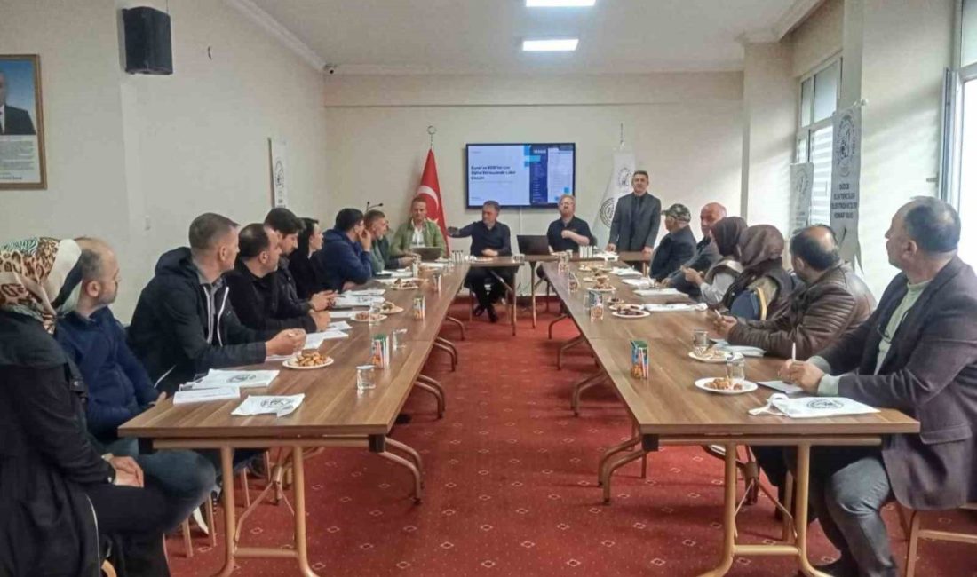 Ticareti internete taşınacak Düzce’de elektrikçiler e-ticaret için bir araya geldi. Düzce Elektrikçiler Elektronikçiler