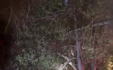 Kocaeli’de oyun oynayan çocukların topu, ağacın dalları arasında kaldı. Topu