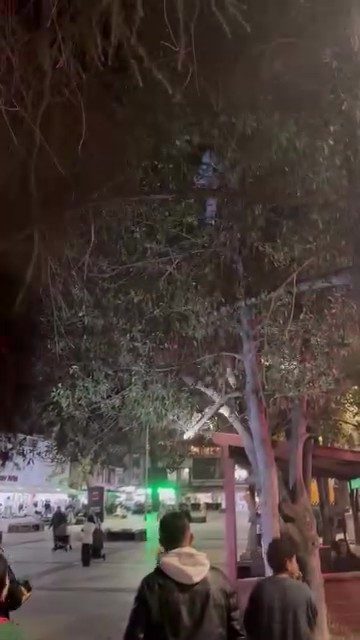 Topunu almak için çıktığı ağaçtan inemeyen çocuğun yardımına itfaiye yetişti Kocaeli’de oyun oynayan çocukların topu, ağacın dalları arasında kaldı. Topu