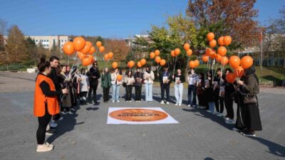 Düzce Üniversitesi Genç KADEM Topluluğu öğrencileri, 25 Kasım Kadına Yönelik